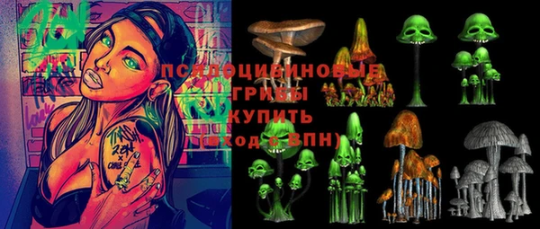 стаф Приозерск