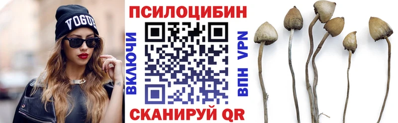 Купить закладки  Данков  Галлюциногенные грибы Magic Shrooms 